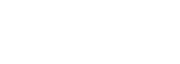 Kamanel Consulting LLC